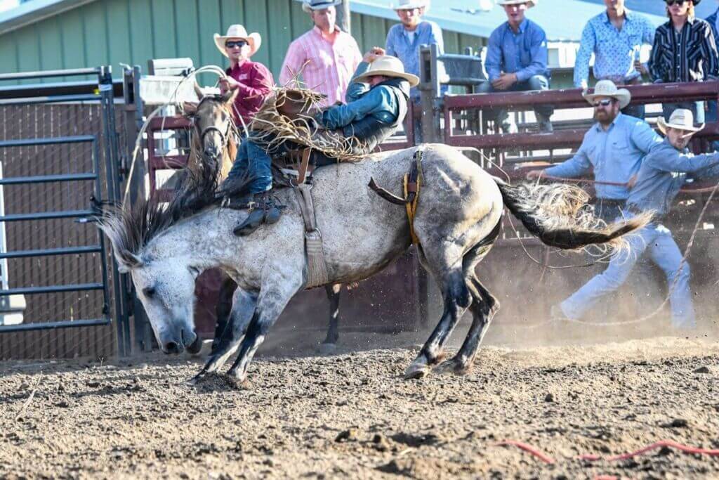 Monroe County Fair - Greater Tomah Area Chamber of Commerce / CVB